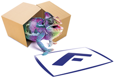Logo: Fritsch Verpackungen